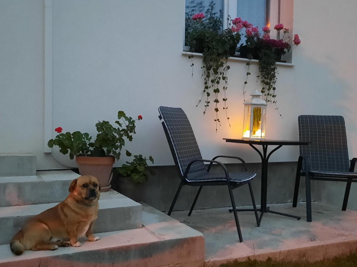 Studio Apartman Marta Korenica Eksteriør billede