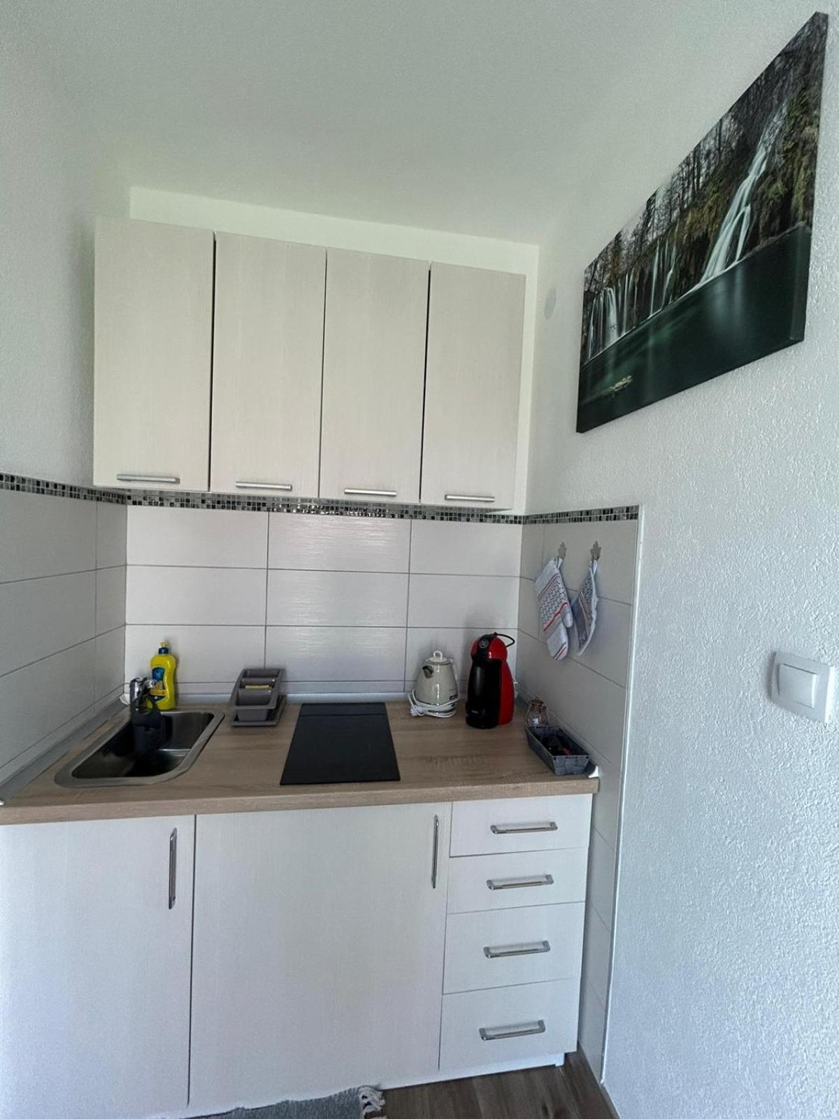 Studio Apartman Marta Korenica Eksteriør billede